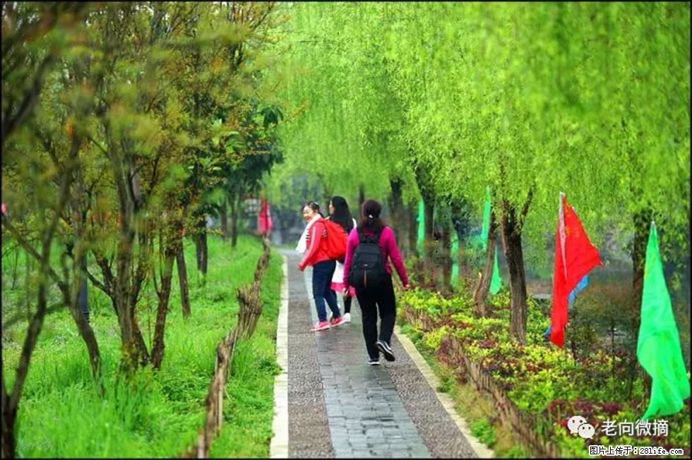 【春天,广西桂林灌阳县向您发出邀请!】江口老街又逢春 - 游山玩水 - 海口生活社区 - 海口28生活网 haikou.28life.com