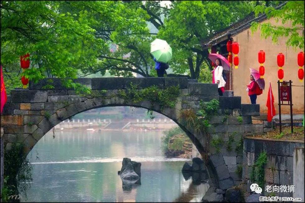 【春天,广西桂林灌阳县向您发出邀请!】江口老街又逢春 - 游山玩水 - 海口生活社区 - 海口28生活网 haikou.28life.com