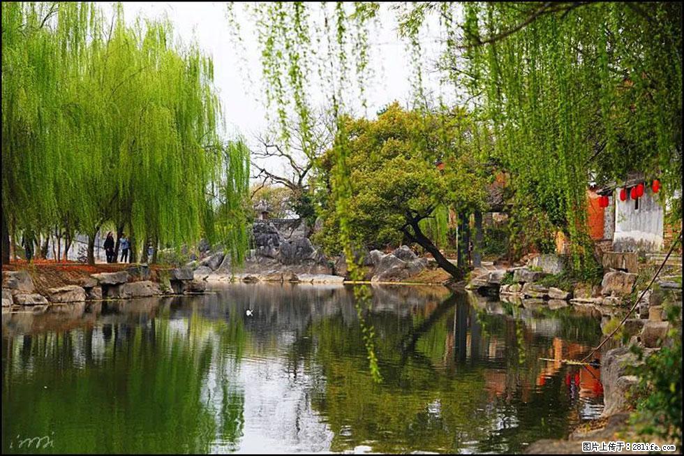 【春天,广西桂林灌阳县向您发出邀请!】江口老街又逢春 - 游山玩水 - 海口生活社区 - 海口28生活网 haikou.28life.com