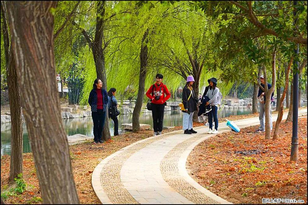 【春天,广西桂林灌阳县向您发出邀请!】江口老街又逢春 - 游山玩水 - 海口生活社区 - 海口28生活网 haikou.28life.com