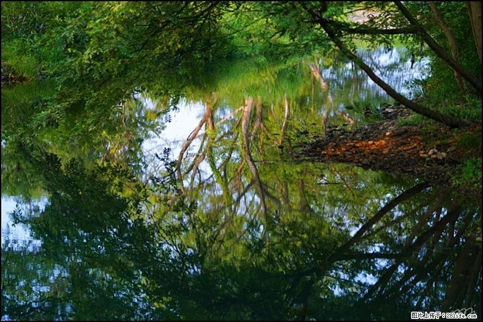 【春天,广西桂林灌阳县向您发出邀请!】熊家寨湿地公园 - 游山玩水 - 海口生活社区 - 海口28生活网 haikou.28life.com