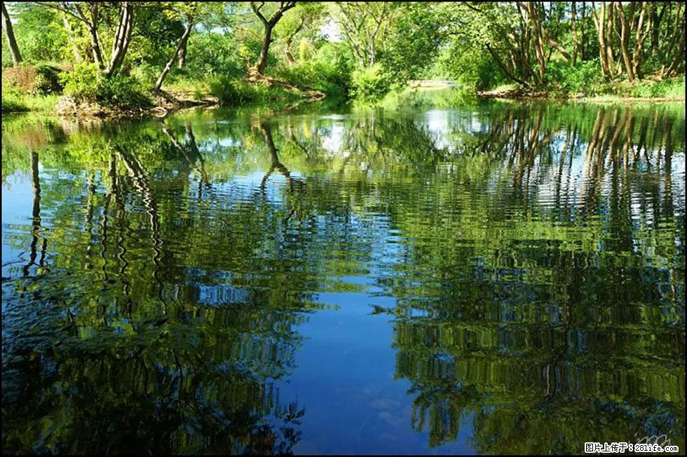【春天,广西桂林灌阳县向您发出邀请!】熊家寨湿地公园 - 游山玩水 - 海口生活社区 - 海口28生活网 haikou.28life.com