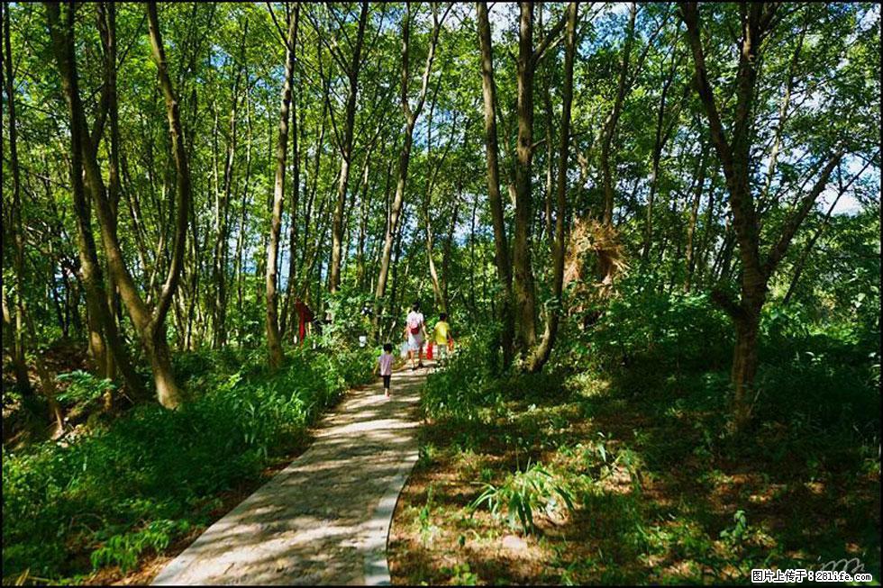 【春天,广西桂林灌阳县向您发出邀请!】熊家寨湿地公园 - 游山玩水 - 海口生活社区 - 海口28生活网 haikou.28life.com