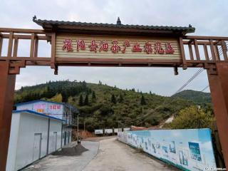 【灌阳县油茶产业示范区】一个有着充实的精神生活的人,对待身外之物自会有一种淡泊的态度 - 海口28生活网 haikou.28life.com