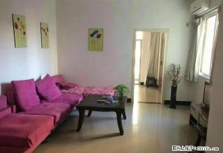 五西路海南大学北门厚土青苹果一房一厅出租 - 海口28生活网 haikou.28life.com