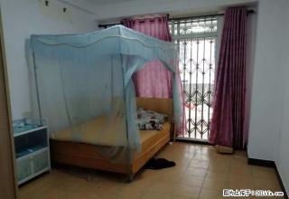 长兴大厦 金桃园小区设备齐全拎包入住仅租1200元每月 - 海口28生活网 haikou.28life.com