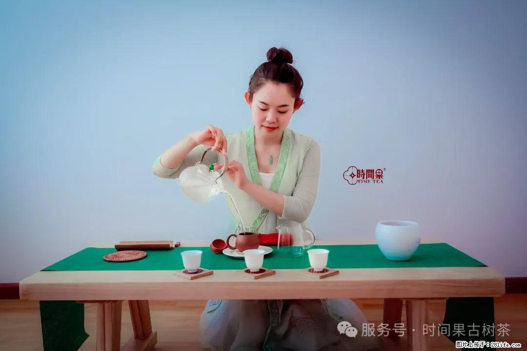 时间果百年古树龙珠普洱生茶 - 购物交流 - 海口生活社区 - 海口28生活网 haikou.28life.com