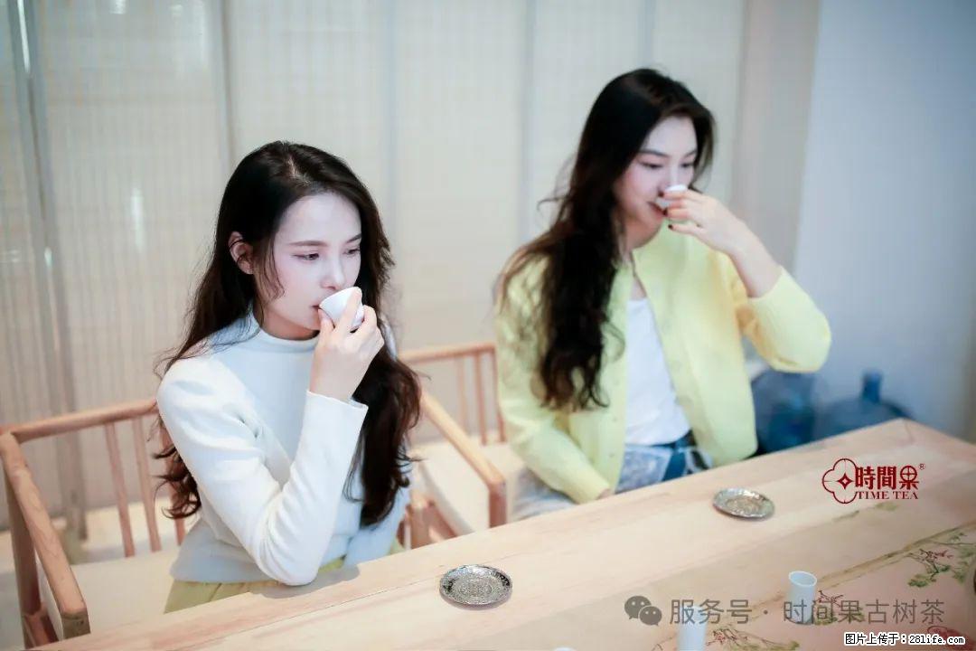 时间果百年古树龙珠普洱生茶 - 购物交流 - 海口生活社区 - 海口28生活网 haikou.28life.com