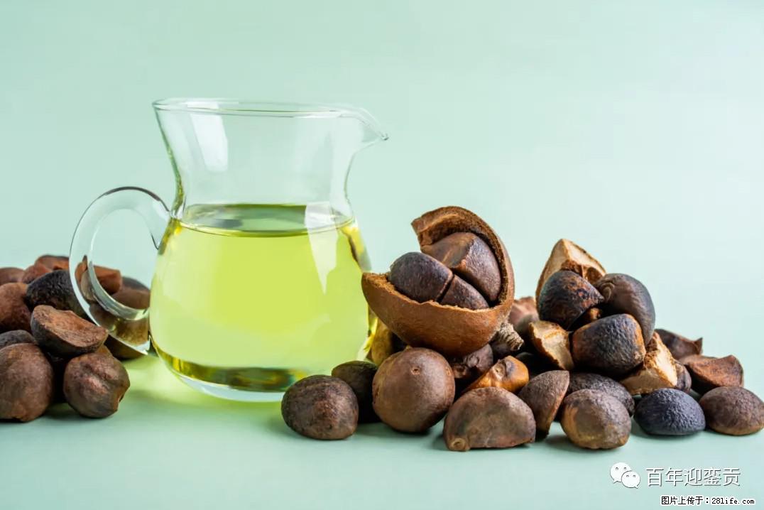 世界没有真相，只有认知，最好的食用油是中国的山茶油！ - 海口生活资讯 - 海口28生活网 haikou.28life.com