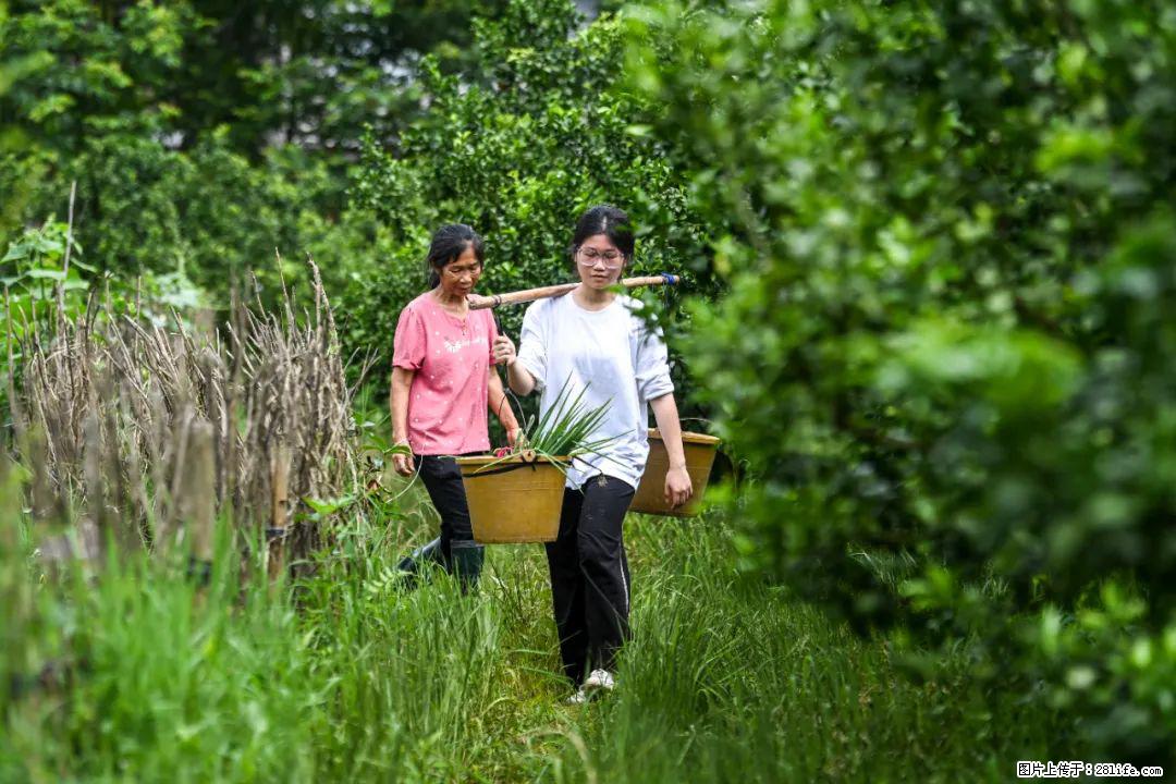 全网追的“扁担女孩”,找了一份暑假工,时薪12元 - 海口生活资讯 - 海口28生活网 haikou.28life.com