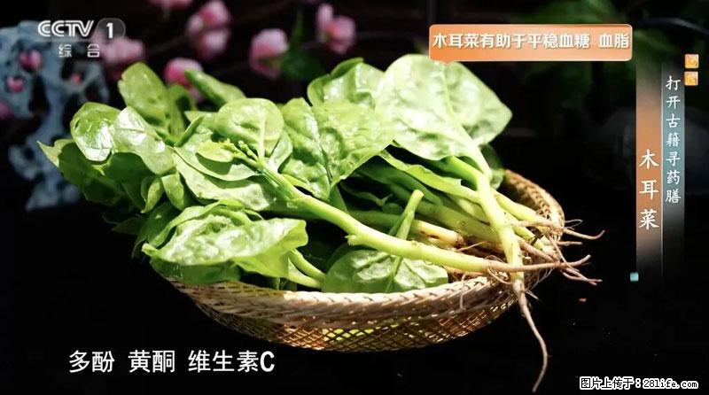 比牛奶补钙还厉害!凉血解毒、稳血糖...这菜冬天必吃,很多人却当草 - 海口生活资讯 - 海口28生活网 haikou.28life.com