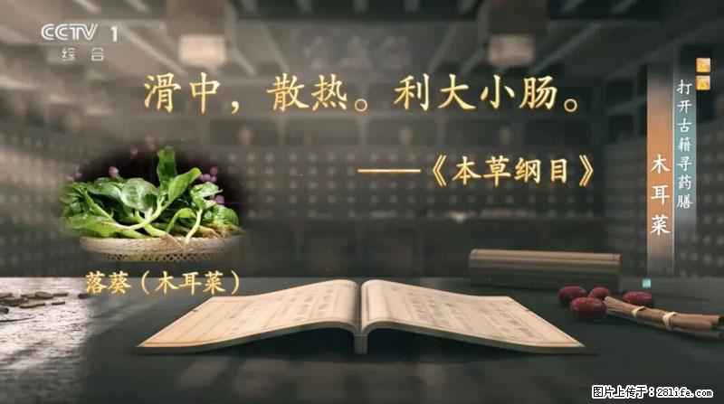 比牛奶补钙还厉害!凉血解毒、稳血糖...这菜冬天必吃,很多人却当草 - 海口生活资讯 - 海口28生活网 haikou.28life.com