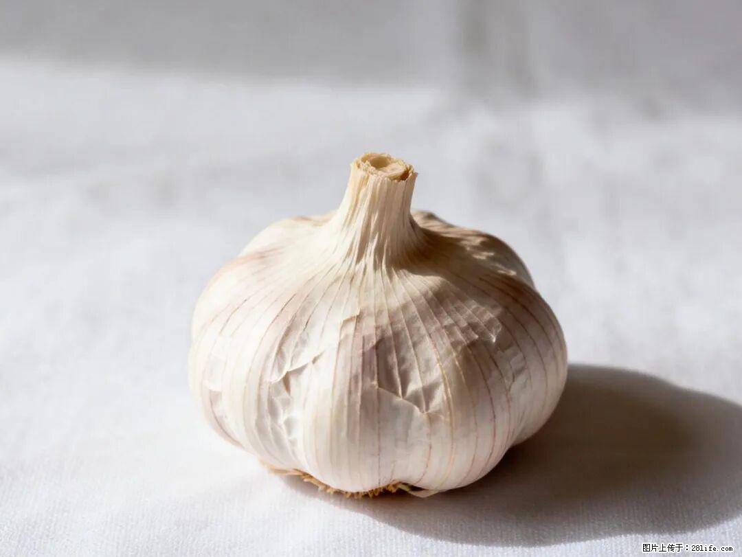 关于大蒜，除了“天然抗生素”，这4个谣言更该警惕! - 海口生活资讯 - 海口28生活网 haikou.28life.com