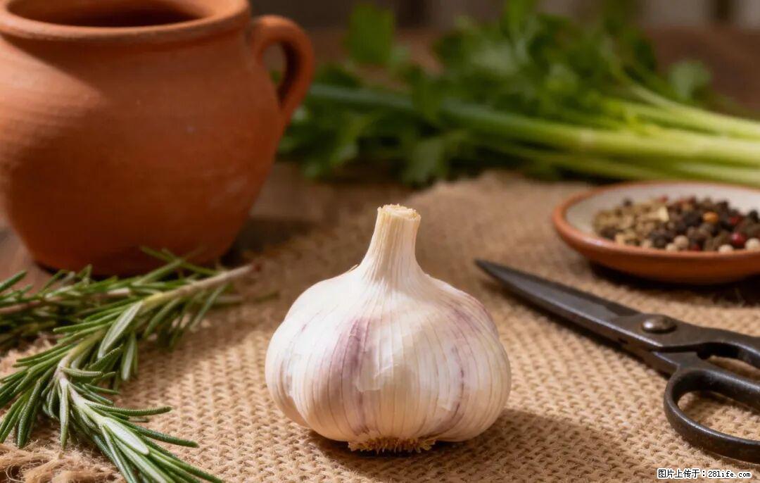 关于大蒜，除了“天然抗生素”，这4个谣言更该警惕! - 海口生活资讯 - 海口28生活网 haikou.28life.com