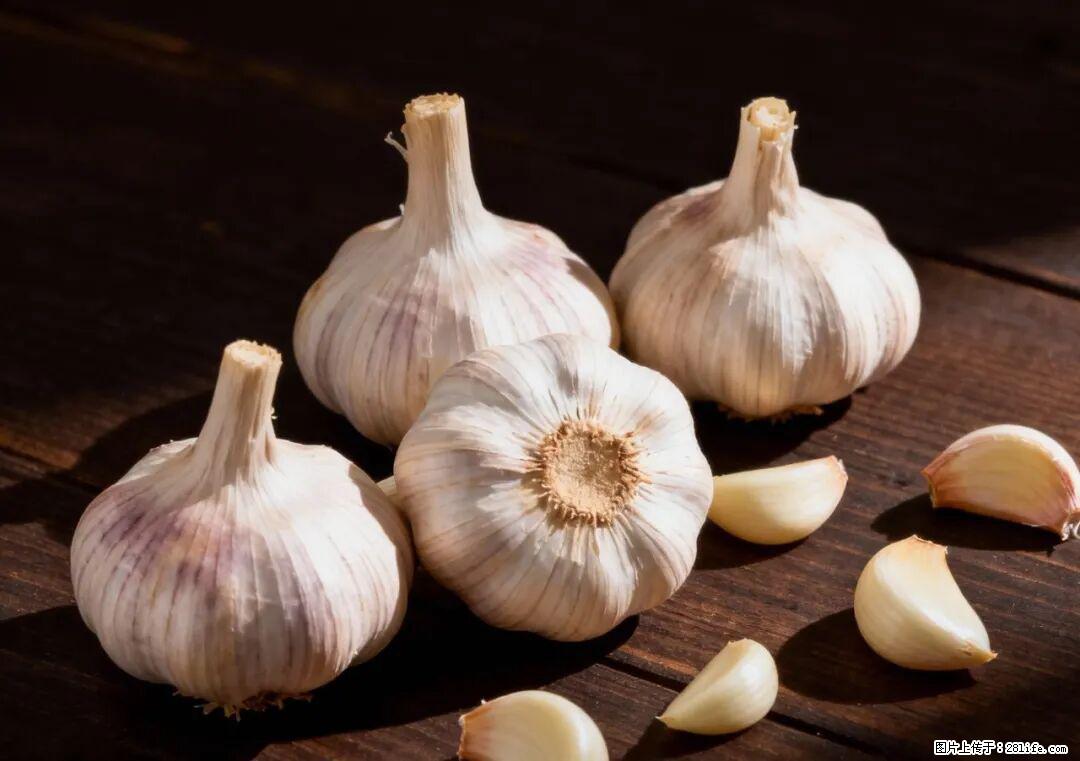 关于大蒜，除了“天然抗生素”，这4个谣言更该警惕! - 海口生活资讯 - 海口28生活网 haikou.28life.com