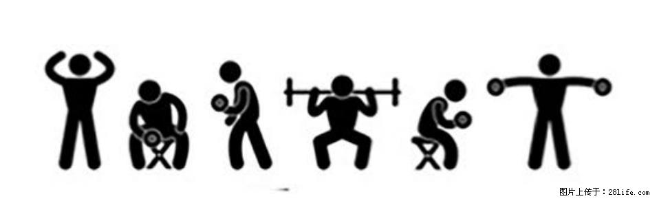 坚持这种运动6个月，心脏有了显著变化！不是跑步，也不是走路 - 海口生活资讯 - 海口28生活网 haikou.28life.com