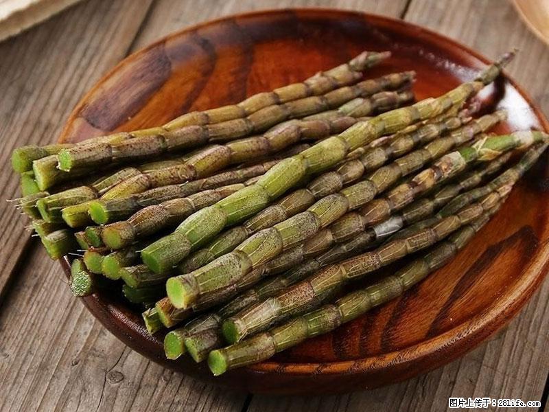 铁皮石斛的作用与功能主治 - 海口生活资讯 - 海口28生活网 haikou.28life.com