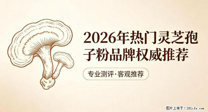 灵芝孢子粉含量越高越有效？2026 年七款热门品牌深度实测，肠胃敏感者避坑指南 - 海口生活资讯 - 海口28生活网 haikou.28life.com